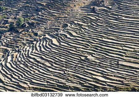 "Terrace fields on a slope, Bahundanda, Lamjung District, Nepal, Asia" View Large Photo Image Stock Photo - "Terrace fields on a slope, Bahundanda, Lamjung District, Nepal, Asia". Fotosearch
