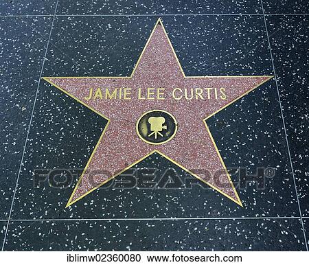 "Terrazzo star for the actress Jamie Lee Curtis, film category, Walk of Fame, Hollywood Boulevard, Hollywood, Los Angeles, California, United States of America, USA, PublicGround" View Large Photo Image Stock Image - "Terrazzo star for the actress Jamie Lee Curtis, film category, Walk of Fame, Hollywood Boulevard, Hollywood, Los Angeles, California, United States of America, USA, PublicGround". Fotosearch