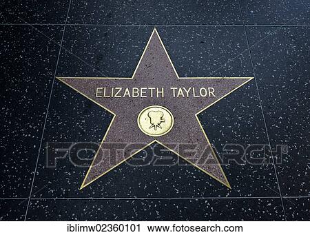 "Terrazzo star for the artist Elizabeth Taylor, film category, Walk of Fame, Hollywood Boulevard, Hollywood, Los Angeles, California, United States of America, USA, PublicGround" View Large Photo Image Stock Image - "Terrazzo star for the artist Elizabeth Taylor, film category, Walk of Fame, Hollywood Boulevard, Hollywood, Los Angeles, California, United States of America, USA, PublicGround". Fotosearch