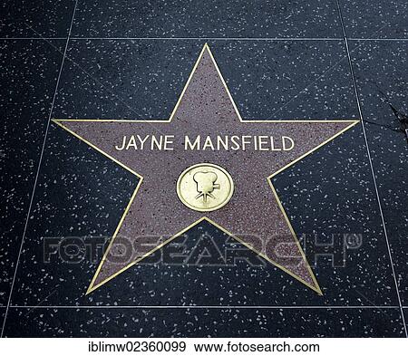 "Terrazzo star for the artist Jayne Mansfield, film category, Walk of Fame, Hollywood Boulevard, Hollywood, Los Angeles, California, United States of America, USA, PublicGround" View Large Photo Image Stock Photo - "Terrazzo star for the artist Jayne Mansfield, film category, Walk of Fame, Hollywood Boulevard, Hollywood, Los Angeles, California, United States of America, USA, PublicGround". Fotosearch