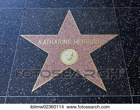 "Terrazzo star for the artist Katharine Hepburn, film category, Walk of Fame, Hollywood Boulevard, Hollywood, Los Angeles, California, United States of America, USA, PublicGround" View Large Photo Image Picture - "Terrazzo star for the artist Katharine Hepburn, film category, Walk of Fame, Hollywood Boulevard, Hollywood, Los Angeles, California, United States of America, USA, PublicGround". Fotosearch