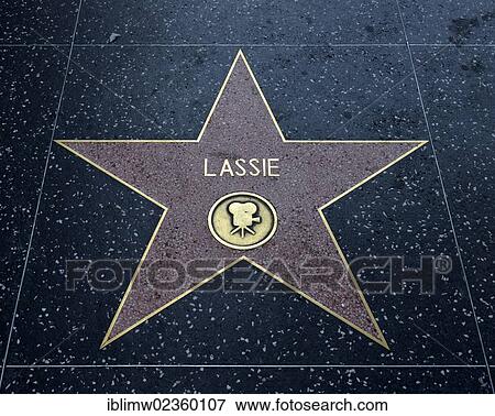 "Terrazzo star for the artist Lassie, film category, Walk of Fame, Hollywood Boulevard, Hollywood, Los Angeles, California, United States of America, USA, PublicGround" View Large Photo Image Stock Photo - "Terrazzo star for the artist Lassie, film category, Walk of Fame, Hollywood Boulevard, Hollywood, Los Angeles, California, United States of America, USA, PublicGround". Fotosearch