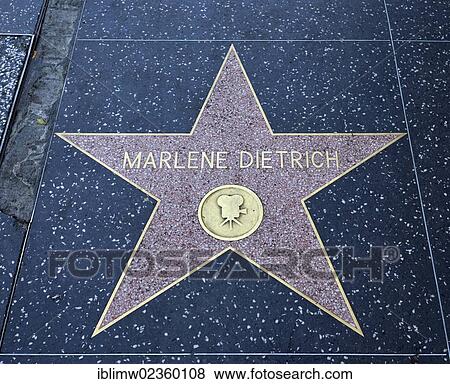 Stock Photo - "Terrazzo star for the artist Marlene Dietrich, film category, Walk of Fame, Hollywood Boulevard, Hollywood, Los Angeles, California, United States of America, USA, PublicGround". Fotosearch