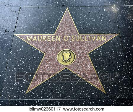 "Terrazzo star for the artist Maureen O'Sullivan, film category, Walk of Fame, Hollywood Boulevard, Hollywood, Los Angeles, California, United States of America, USA, PublicGround" View Large Photo Image Stock Photo - "Terrazzo star for the artist Maureen O'Sullivan, film category, Walk of Fame, Hollywood Boulevard, Hollywood, Los Angeles, California, United States of America, USA, PublicGround". Fotosearch