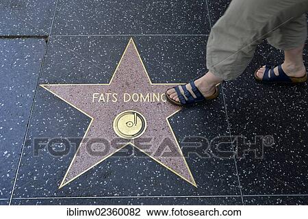 "Terrazzo star for the musician Fats Domino, music category, Walk of Fame, Hollywood Boulevard, Hollywood, Los Angeles, California, United States of America, USA, PublicGround" View Large Photo Image Stock Image - "Terrazzo star for the musician Fats Domino, music category, Walk of Fame, Hollywood Boulevard, Hollywood, Los Angeles, California, United States of America, USA, PublicGround". Fotosearch