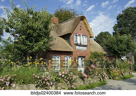 "Thatched cottage and cottage garden, Nebel, Amrum, North Frisian Islands, Schleswig-Holstein, Germany, Europe" View Large Photo Image Picture - "Thatched cottage and cottage garden, Nebel, Amrum, North Frisian Islands, Schleswig-Holstein, Germany, Europe". Fotosearch