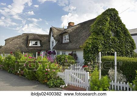 Stock Image - "Thatched cottage and cottage garden, Nebel, Amrum, North Frisian Islands, Schleswig-Holstein, Germany, Europe". Fotosearch