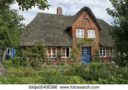 Stock Photograph - "Thatched cottage and cottage garden, Nebel, Amrum, North Frisian Islands, Schleswig-Holstein, Germany, Europe". Fotosearch