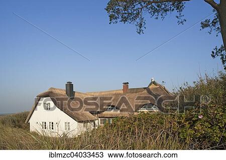 "Thatched cottage behind the dunes, Baltic Sea beach, Ahrenshoop, Darss, Mecklenburg-Western Pomerania, Germany, Europe" View Large Photo Image Stock Image - "Thatched cottage behind the dunes, Baltic Sea beach, Ahrenshoop, Darss, Mecklenburg-Western Pomerania, Germany, Europe". Fotosearch