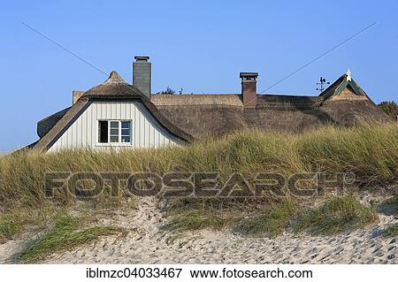 "Thatched cottage behind the dunes, Ahrenshoop, Darss, Mecklenburg-Western Pomerania, Germany, Europe" View Large Photo Image Stock Photo - "Thatched cottage behind the dunes, Ahrenshoop, Darss, Mecklenburg-Western Pomerania, Germany, Europe". Fotosearch