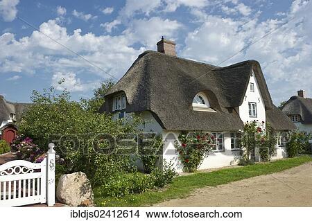 Thatched cottage, Nebel, Amrum, North Frisia, Schleswig-Holstein, Germany, Europe View Large Photo Image Picture - Thatched cottage, Nebel, Amrum, North Frisia, Schleswig-Holstein, Germany, Europe. Fotosearch