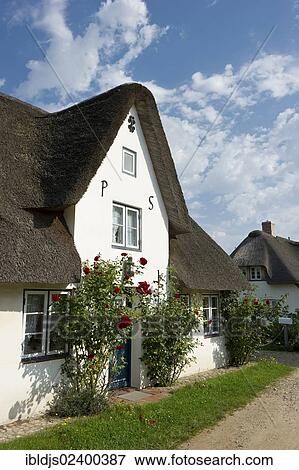 "Thatched cottage, Nebel, Amrum, North Frisian Islands, Schleswig-Holstein, Germany, Europe" View Large Photo Image Stock Photo - "Thatched cottage, Nebel, Amrum, North Frisian Islands, Schleswig-Holstein, Germany, Europe". Fotosearch