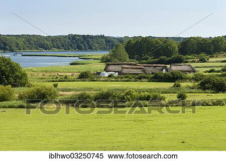 Stock Photography - "Thatched cottages beside a lake, pasture at the front, Hedeby Viking Museum, open-air museum, Busdorf, Schleswig-Holstein, Germany, Europe". Fotosearch