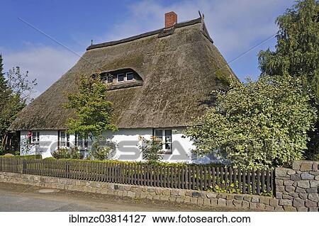 "Thatched family house, Mecklenburg-Vorpommern, Germany, Europe" View Large Photo Image Stock Photo - "Thatched family house, Mecklenburg-Vorpommern, Germany, Europe". Fotosearch