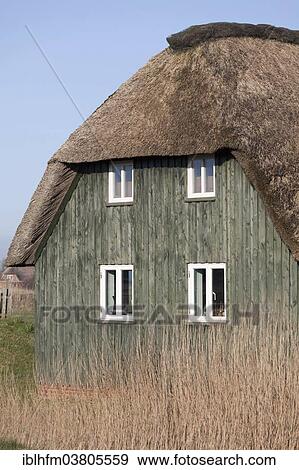 "Thatched Frisian house, Westerhever, Schleswig-Holstein, Germany, Europe" View Large Photo Image Stock Photo - "Thatched Frisian house, Westerhever, Schleswig-Holstein, Germany, Europe". Fotosearch