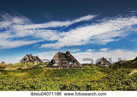 "Thatched Frisian houses in the dunes, Hornum, Sylt, North Frisia, Schleswig-Holstein, Germany, Europe" View Large Photo Image Stock Photograph - "Thatched Frisian houses in the dunes, Hornum, Sylt, North Frisia, Schleswig-Holstein, Germany, Europe". Fotosearch