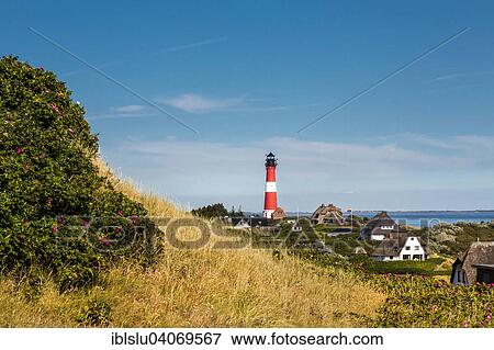 "Thatched Frisian houses with lighthouse, Hornum, Sylt, North Frisia, Schleswig-Holstein, Germany, Europe" View Large Photo Image Stock Photo - "Thatched Frisian houses with lighthouse, Hornum, Sylt, North Frisia, Schleswig-Holstein, Germany, Europe". Fotosearch