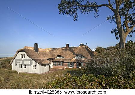 "Thatched holiday cottage on the Baltic Sea beach, Ahrenshoop, Darss, Fischland-Darss-Zingst, Mecklenburg-Western Pomerania, Germany, Europe" View Large Photo Image Stock Photography - "Thatched holiday cottage on the Baltic Sea beach, Ahrenshoop, Darss, Fischland-Darss-Zingst, Mecklenburg-Western Pomerania, Germany, Europe". Fotosearch