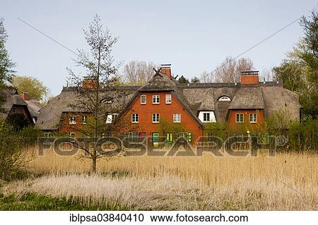 "Thatched House, Ahrenshoop, Fischland-Darss-Zingst, Mecklenburg-Western Pomerania, Germany, Europe" View Large Photo Image Stock Image - "Thatched House, Ahrenshoop, Fischland-Darss-Zingst, Mecklenburg-Western Pomerania, Germany, Europe". Fotosearch