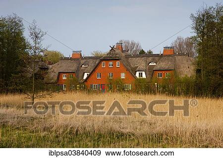 "Thatched House, Ahrenshoop, Fischland-Darss-Zingst, Mecklenburg-Western Pomerania, Germany, Europe" View Large Photo Image Stock Photo - "Thatched House, Ahrenshoop, Fischland-Darss-Zingst, Mecklenburg-Western Pomerania, Germany, Europe". Fotosearch