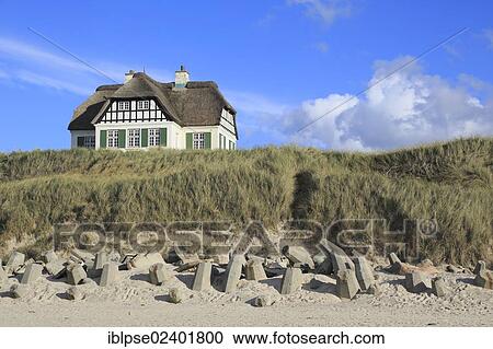 "Thatched house on the cliffs of Lokken, North Jytland, Denmark, Europe" View Large Photo Image Stock Image - "Thatched house on the cliffs of Lokken, North Jytland, Denmark, Europe". Fotosearch