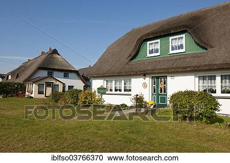 "Thatched houses, Hiddensee, Mecklenburg-Vorpommern, Germany, Europe" View Large Photo Image Stock Image - "Thatched houses, Hiddensee, Mecklenburg-Vorpommern, Germany, Europe". Fotosearch
