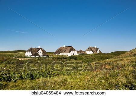 "Thatched houses, Kampen, Sylt, North Frisia, Schleswig-Holstein, Germany, Europe" View Large Photo Image Picture - "Thatched houses, Kampen, Sylt, North Frisia, Schleswig-Holstein, Germany, Europe". Fotosearch