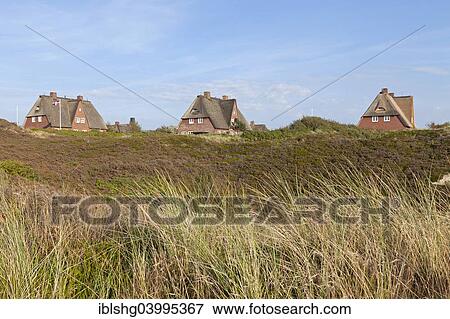"Thatched houses, List, Sylt, Schleswig-Holstein, Germany, Europe" View Large Photo Image Stock Photo - "Thatched houses, List, Sylt, Schleswig-Holstein, Germany, Europe". Fotosearch