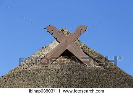 "Thatched roof, horse heads or Muulapen as with gable adornment, Ahrenshoop, Darss, Mecklenburg-Vorpommern, Germany, Europe" View Large Photo Image Stock Image - "Thatched roof, horse heads or Muulapen as with gable adornment, Ahrenshoop, Darss, Mecklenburg-Vorpommern, Germany, Europe". Fotosearch