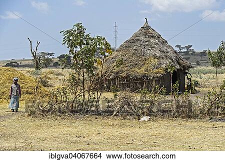 "Thatched round hut of the Oromo, Arsi region, Oromia, Ethiopia, Africa" View Large Photo Image Picture - "Thatched round hut of the Oromo, Arsi region, Oromia, Ethiopia, Africa". Fotosearch
