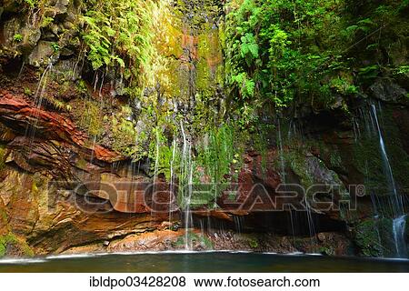 "The """"25 fontes"""" springs, Madeira, Portugal, Europe" View Large Photo Image Stock Photo - "The """"25 fontes"""" springs, Madeira, Portugal, Europe". Fotosearch