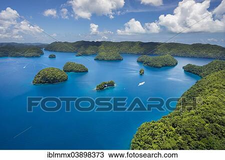 "The Ark, island paradise Palau, Micronesia, Oceania" View Large Photo Image Stock Image - "The Ark, island paradise Palau, Micronesia, Oceania". Fotosearch