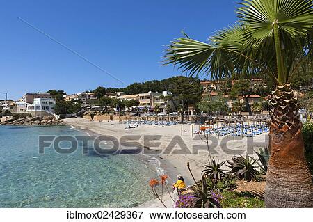 "The bay and beach of Sant Elm, municipality of Andratx, Sant Elm, Mallorca, Balearic Islands, Mediterranean Sea, Spain, Europe" View Large Photo Image Stock Photo - "The bay and beach of Sant Elm, municipality of Andratx, Sant Elm, Mallorca, Balearic Islands, Mediterranean Sea, Spain, Europe". Fotosearch