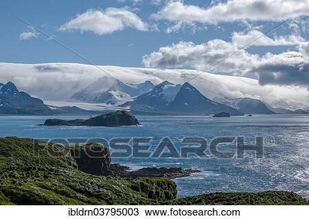 "The Bay of Isles on the north east coast, South Georgia and the South Sandwich Islands, United Kingdom, Antarctica" View Large Photo Image Stock Image - "The Bay of Isles on the north east coast, South Georgia and the South Sandwich Islands, United Kingdom, Antarctica". Fotosearch