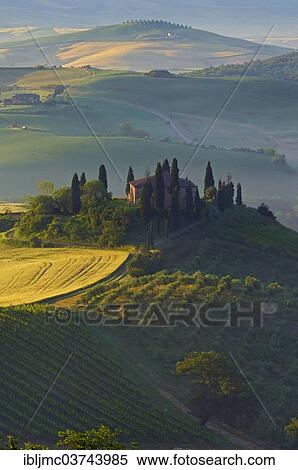 "The Belvedere in morning light, Val d'Orcia, or Orcia Valley, UNESCO World Heritage Site, San Quirico d'Orcia, Val d'Orcia, Province of Siena, Tuscany, Italy, Europe" View Large Photo Image Stock Photography - "The Belvedere in morning light, Val d'Orcia, or Orcia Valley, UNESCO World Heritage Site, San Quirico d'Orcia, Val d'Orcia, Province of Siena, Tuscany, Italy, Europe". Fotosearch