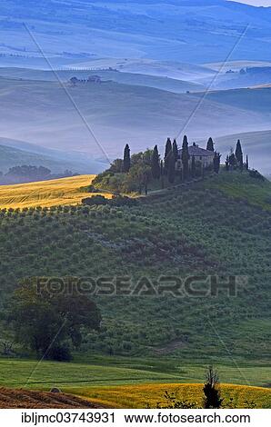 Stock Image - "The Belvedere, morning fog, at dawn, Val d'Orcia, or Orcia Valley, UNESCO World Heritage Site, San Quirico d'Orcia, Val d'Orcia, Province of Siena, Tuscany, Italy, Europe". Fotosearch