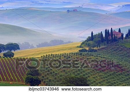 "The Belvedere, morning fog, at dawn, Val d'Orcia, or Orcia Valley, UNESCO World Heritage Site, San Quirico d'Orcia, Val d'Orcia, Province of Siena, Tuscany, Italy, Europe" View Large Photo Image Stock Photograph - "The Belvedere, morning fog, at dawn, Val d'Orcia, or Orcia Valley, UNESCO World Heritage Site, San Quirico d'Orcia, Val d'Orcia, Province of Siena, Tuscany, Italy, Europe". Fotosearch