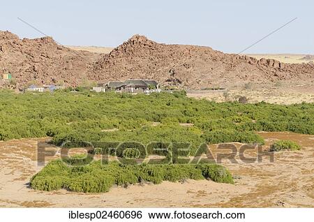 "The Brandberg White Lady Lodge above the dry riverbed of the Ugab river, seen from a hill, Damaraland, Namibia, Africa" View Large Photo Image Stock Photograph - "The Brandberg White Lady Lodge above the dry riverbed of the Ugab river, seen from a hill, Damaraland, Namibia, Africa". Fotosearch