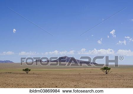 "The Bushmann Hill in the Namib Desert, Betta, Hardap Region, Namibia, Africa" View Large Photo Image Picture - "The Bushmann Hill in the Namib Desert, Betta, Hardap Region, Namibia, Africa". Fotosearch
