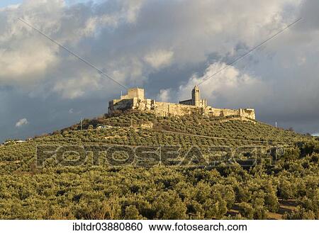"The castle La Mota in Alcala la Real, surrounded by olive groves, Jaen province, Andalusia, Spain, Europe" View Large Photo Image Stock Image - "The castle La Mota in Alcala la Real, surrounded by olive groves, Jaen province, Andalusia, Spain, Europe". Fotosearch