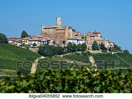 "The castle of Castiglione Falletto, vineyards, Castiglione Falletto, Cuneo province, Piedmont, Italy, Europe" View Large Photo Image Stock Image - "The castle of Castiglione Falletto, vineyards, Castiglione Falletto, Cuneo province, Piedmont, Italy, Europe". Fotosearch