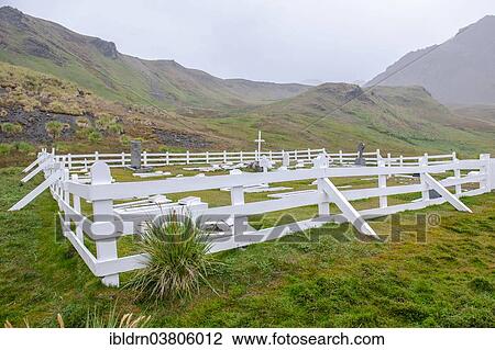 "The cemetery of the former Stromness whaling station with the grave of the polar explorer Ernest Shackleton, King Edward Bay of the now uninhabited island, South Georgia and the South Sandwich Islands, Antarctica" View Large Photo Image Stock Image - "The cemetery of the former Stromness whaling station with the grave of the polar explorer Ernest Shackleton, King Edward Bay of the now uninhabited island, South Georgia and the South Sandwich Islands, Antarctica". Fotosearch