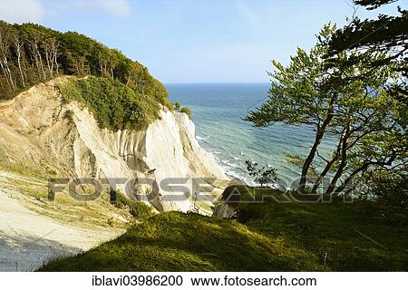 "The chalk cliffs of Mons Klint, Mon or Moen Island, Denmark, Europe" View Large Photo Image Stock Image - "The chalk cliffs of Mons Klint, Mon or Moen Island, Denmark, Europe". Fotosearch