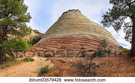Stock Photo - "The Checkerboard Mesa, a table mountain, checkerboard patterns created by the erosion of Navajo sandstone rocks, Zion National Park, Utah, United States, North America". Fotosearch