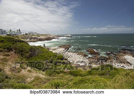 Picture - "The coast at Hermanus, Western Cape, South Africa, Africa". Fotosearch