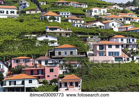 "The colorful houses of Camara de Lobos, Funchal, Estreito de Camara de Lobos, Ilha da Madeira, Portugal, Europe" View Large Photo Image Stock Image - "The colorful houses of Camara de Lobos, Funchal, Estreito de Camara de Lobos, Ilha da Madeira, Portugal, Europe". Fotosearch