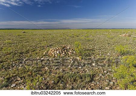 Stock Photography - "The Crau, stony plain, Provence, France, Europe". Fotosearch