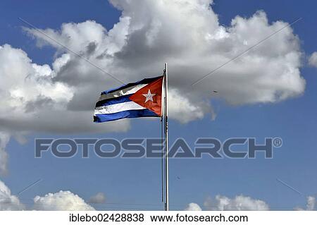 "The Cuban flag blowing in the wind, Cuba, Greater Antilles, Central America, America, North America" View Large Photo Image Stock Photo - "The Cuban flag blowing in the wind, Cuba, Greater Antilles, Central America, America, North America". Fotosearch