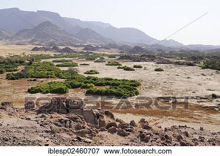 "The dry river bed of the Ugab river, Brandberg mountain at the back, Damaraland, Namibia, Africa" View Large Photo Image Stock Photo - "The dry river bed of the Ugab river, Brandberg mountain at the back, Damaraland, Namibia, Africa". Fotosearch