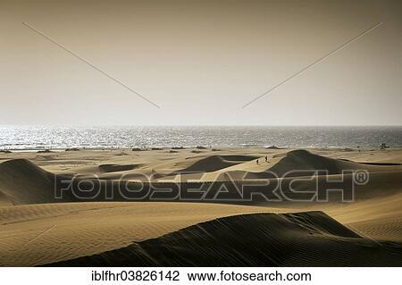 "The Dunes of Maspalomas in the diffuse light of a sand storm, Playa del Ingles, Gran Canaria, Canary Islands, Spain, Europe" View Large Photo Image Stock Image - "The Dunes of Maspalomas in the diffuse light of a sand storm, Playa del Ingles, Gran Canaria, Canary Islands, Spain, Europe". Fotosearch